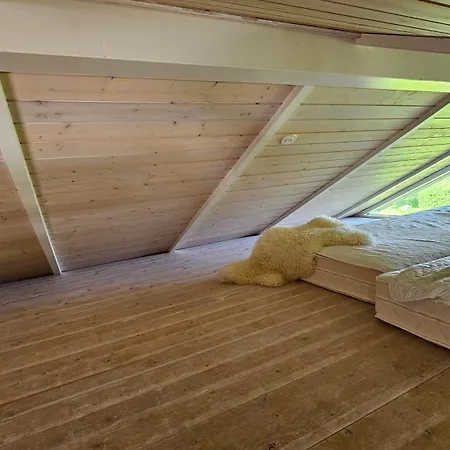 Cozy And Modern With Equipment Сasa de vacaciones *
